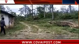 Wild elephant is all ears for forest ranger in Valparai