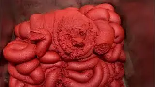 Tomato Puree Transfer Pump from Barrels