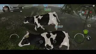 Wild animals online Cow simulator