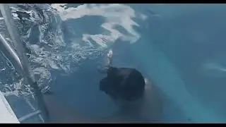 LEARN TO SWIM | Basic Swimming Techniques