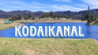 KODAIKANAL 🌄🌫🛶TRAVELMANIA l TRAVEL VLOG l TAMIL NADU #kodaikanal #tamilnadu 