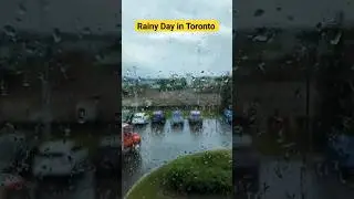 Rainy Day in Toronto #shortsfeed #rain #mood