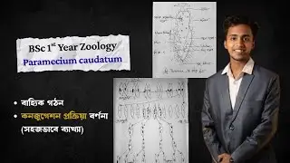Class- 03 | Paramecium conjugation | Bsc Hons 1st Year | Zoology | (Part - 02)