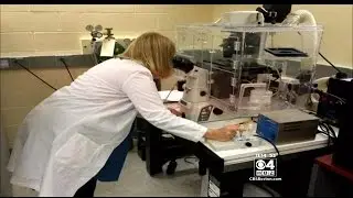 I-Team: Cancer Research Lab Closing Because Grant Money Is Missing