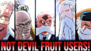 Why Imu & Gorosei Are NOT Devil Fruit Users