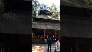 Hidimba devi temple🛕 | Manali 🏔️ | #manali #hidimbadevitemple #pahadi #temple #reels #trip #viral