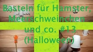DIY Basteln für Hamster, Meerschweinchen und co. #13 Halloween