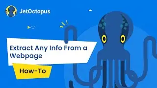 🖇 Take Your Web Crawling to The Next Level With JetOctopus Custom Extraction