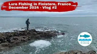 A beginner lure fishing for sea bass in Brittany | December 2024 Vlog #2