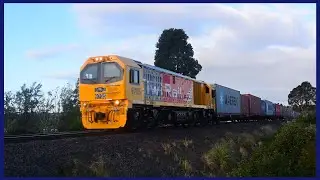 The Bay of Plenty Railscene (ft. Brand-New DL 9705) ~ 15 to 20/07/2023 (HD)
