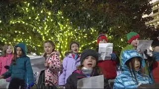 Singing tree returns to Ballston