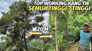 Wajib ahli panjat !! Berkunjung ke kebun kang TW .