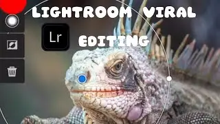 Lightroom mobile tutorial 🔥🔥🔥