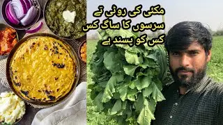 sarson ka sag desi ghi Makai Ki roti ( mere gaon ka taaja sag live vlogging