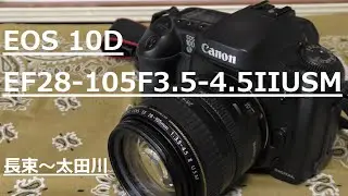EOS 10D(2003年)　EF28-105mm F3.5-4.5 II USM(2000年)で撮影して来ました。