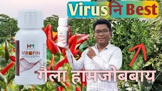 Virus निथाखाय Best 💯 organic || Virofin HM Organic || खनै सारनायावनो हामबाय ||
