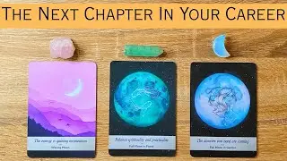 THE NEXT CHAPTER IN YOUR CAREER  Pick A Card  Timeless Tarot Reading