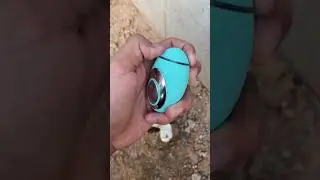 Order Your FREE SleepyEgg now !!