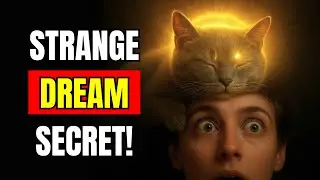 when your cat in dream meaning shows up by sleeping on your head