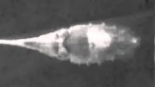 Cuttle Shuttle Analysis - Cropped and Aligned: Ender, Day 03, Tentacle Shot 02