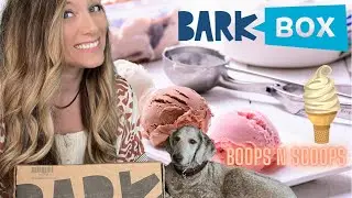 Barkbox May box:  dog box subscription