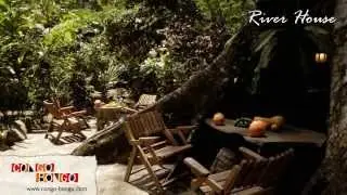 Congo Bongo EcoVillage - River Dream House - Manzanillo Beach Costa Rica