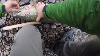 Drifting Egg Flies for Steelheads www.FishingWa.us