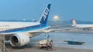 ANA | NH834 | Saigon (SGN) 🇻🇳 - Tokyo (NRT) 🇯🇵 | Economy | Boeing 787-8 Dreamliner