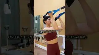 TRX в студии DM sport  #спорт #тренировки #sports #motivation #топ #здоровье