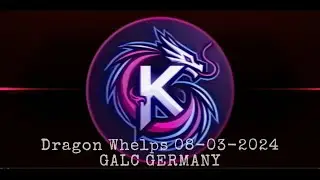 Dragon Whelps @ GALC Germany