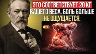 Понимание фасций – гибкость, сила и избавление от боли