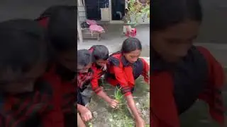 School playground and garden cleaning. #school #activity #life #skills #gameplay #enjoy