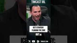 ICE's Strategy: Flooding The Zone