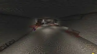 Villager Trading Hall Progress