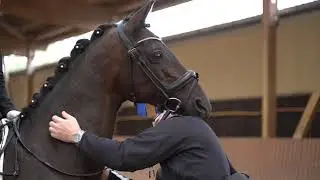 Knuddeldeini