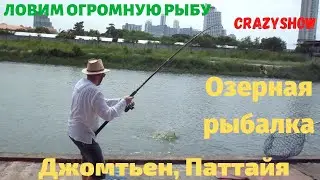 ПАТТАЙЯ, ТАЙЛАНД. ОЗЕРНАЯ РЫБАЛКА. ОГРОМНАЯ РЫБА / PATTAYA, THAILAND. LAKE FISHING. HUGE FISH