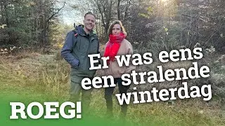 Bitterkoekjes en galappeltjes 🍎 in een nieuwe ROEG! vlog