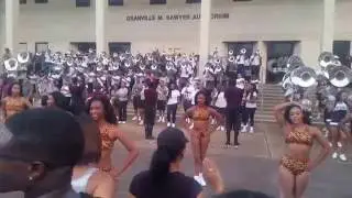 Txsu Motion 2016- Tiger Pride