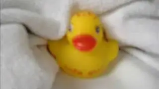 Fifi's first bathduck