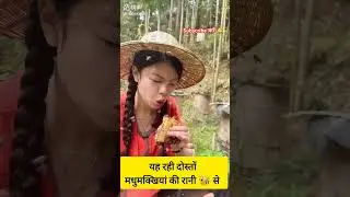 bees attack 🐝 😦 | इतने सारे मधुमक्खियां 😵&zwj;💫😵&zwj;💫🥺😵&zwj;💫। #viral ytshorts #shorts #chinese  @luckycreatorr