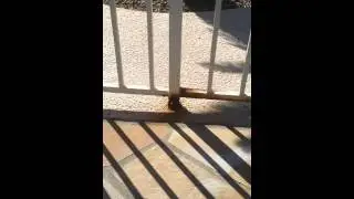 Iron pool fence repair