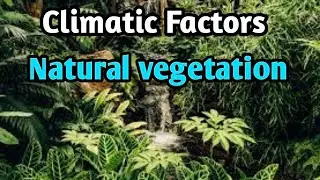 Climatic Factor | Natural Vegetation