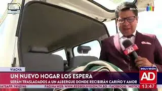Del sufrimiento a una segunda oportunidad: perritos buscan un hogar