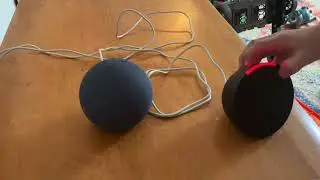 Echo Pop vs Echo Dot: Which Alexa is Right for You?