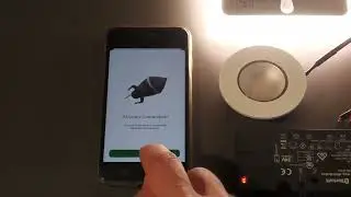 Loox5 Mesh App 2.0 | Room Light Integration