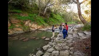 Darebin Creek Fish Ladder