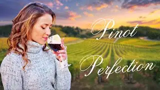 Santa Ynez Pinot Noir: California’s Best Kept Wine Secret