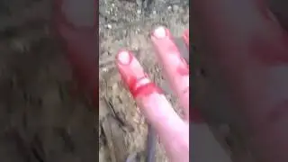 Tar&aacute;rira muerde mano pescador #pescar #tararira #tarucha #shorts #shortvideo