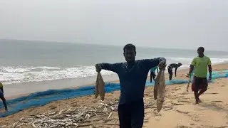 The Big Fish Under The Sea Beach 🐬🐬 #viralvideo #trending #trendingvideo #villagerlifestyle 