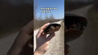 Cool animals in warm March&hellip;